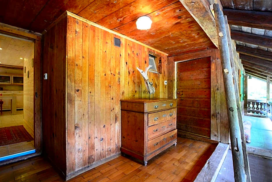 Spacious Swiss Alpine Chalet for Nature Lovers