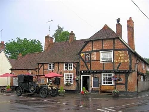 The Plume of Feathers