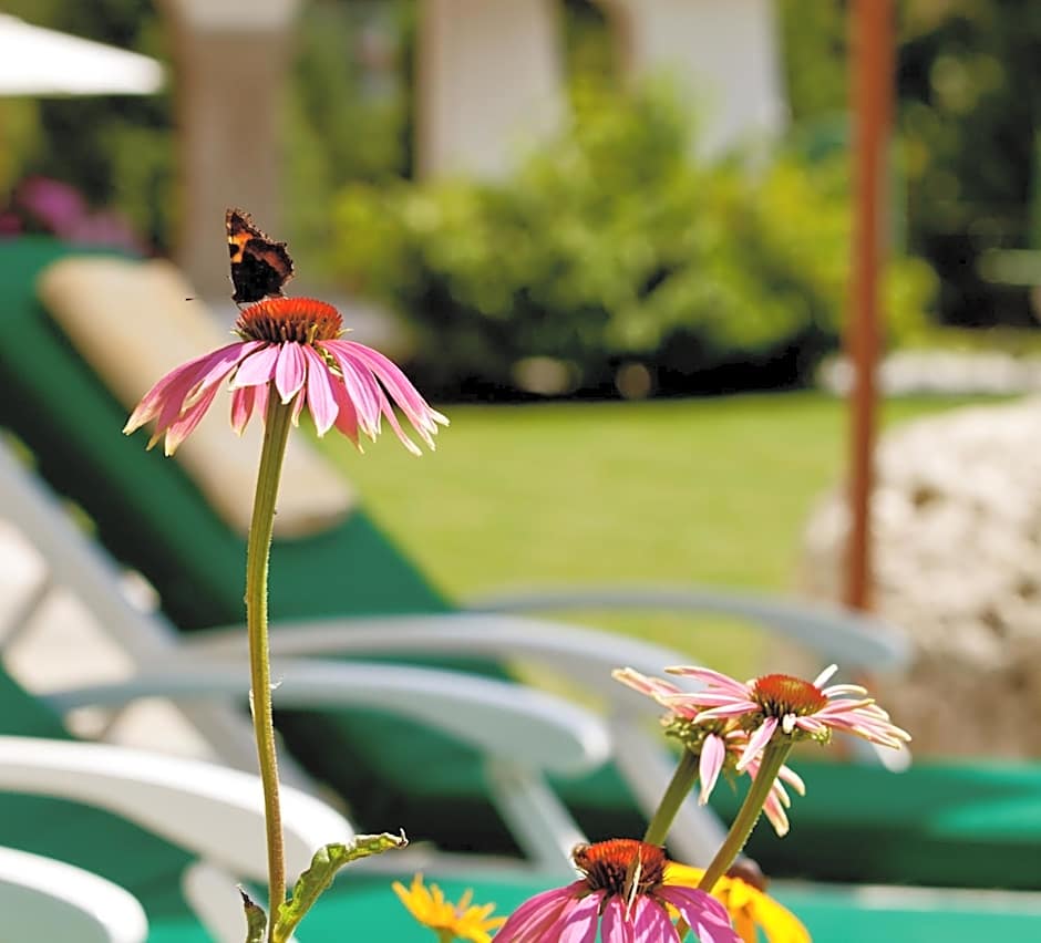 Hotel Lärchenhof Natur