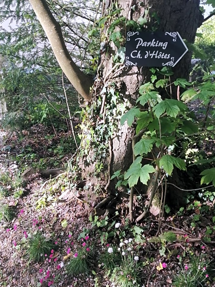 Chambre E André Le Domaine Des Jardins De Bracquetuit