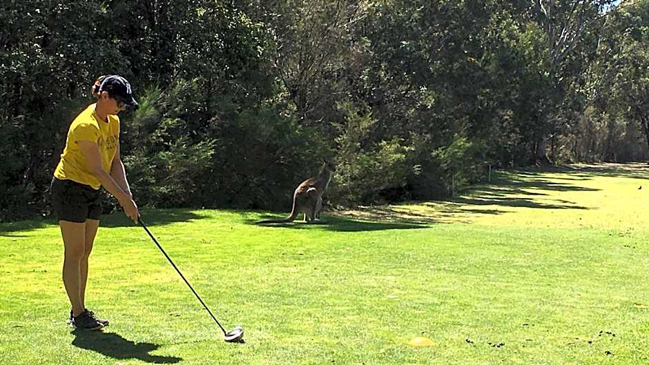 Laguna lodge Group Accommodation