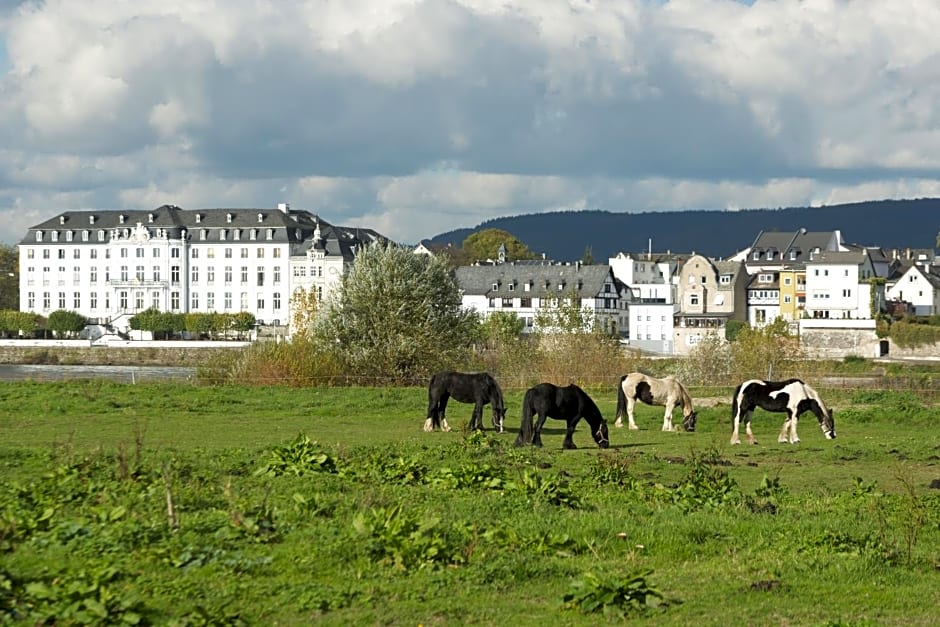 Rheinhotel Larus