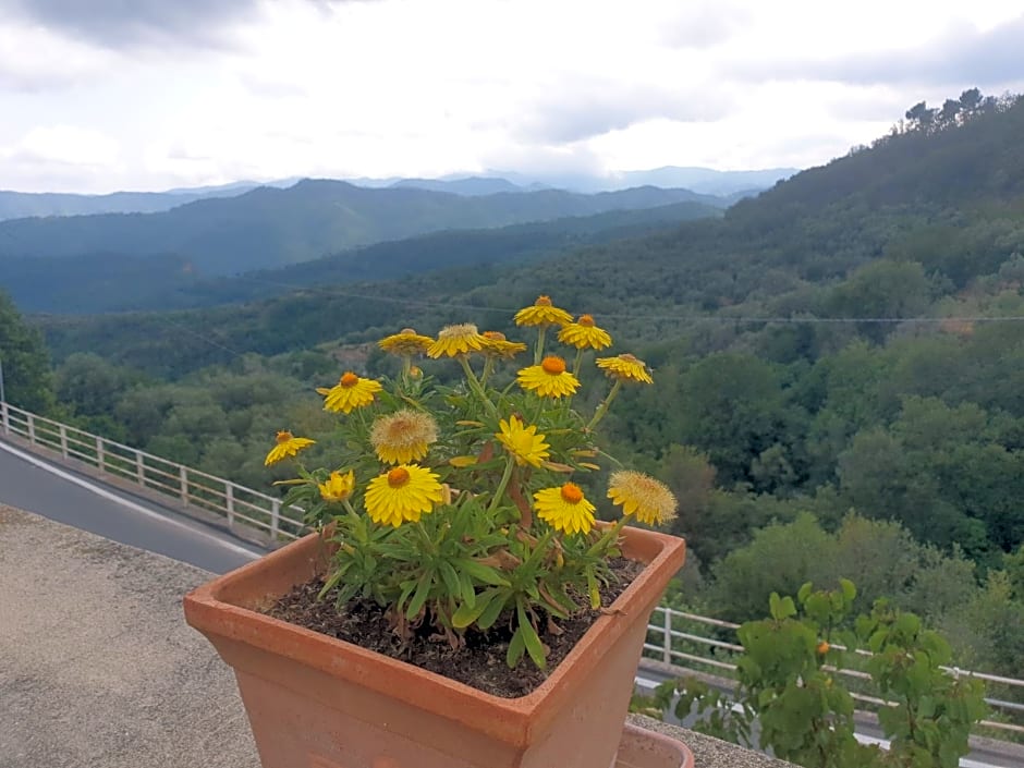 Bed & Breakfast Ca' di Vissai