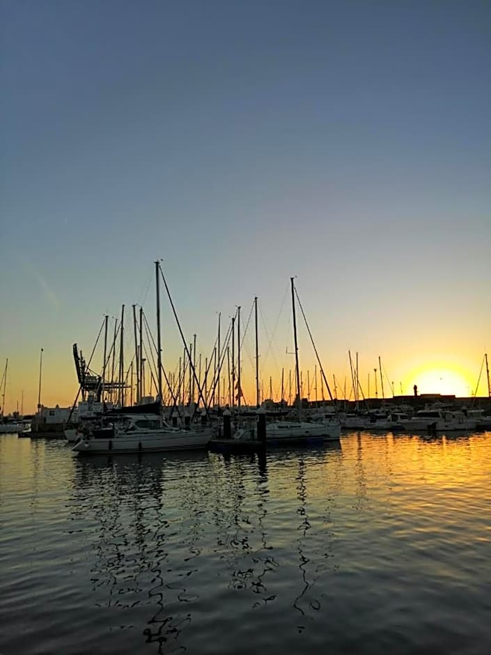 The Farm Tiny House - Tiny Casa