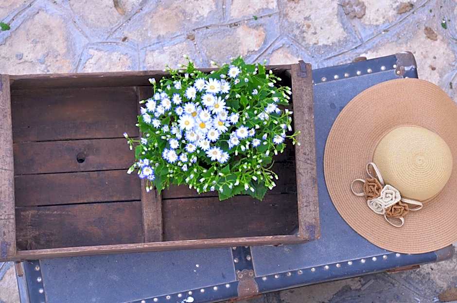 Masseria Poli Country House