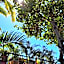 Siesta Suites Boutique Hotel