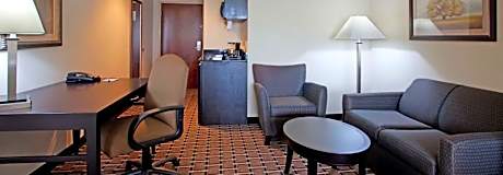 1 King Bed Suite Addl Living Area