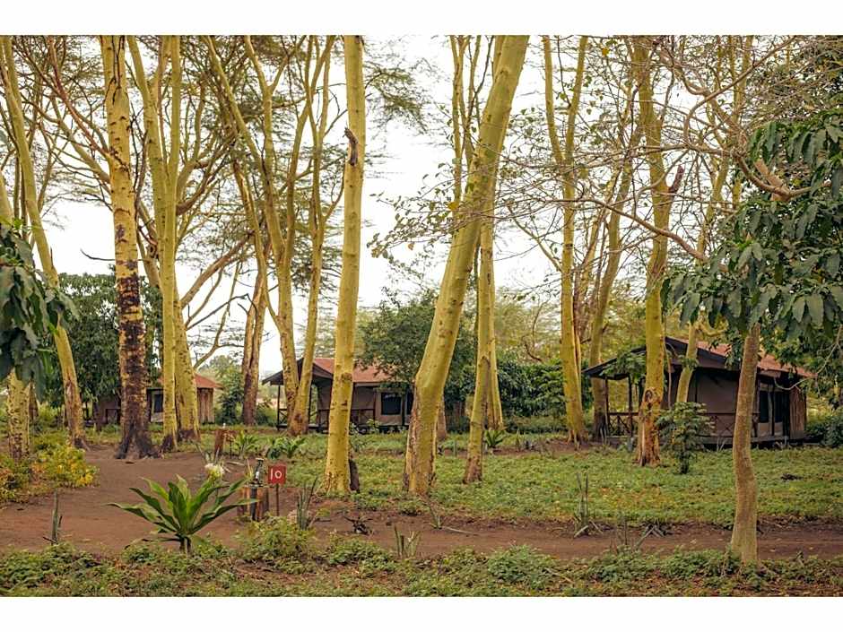 Migunga Tented Camp