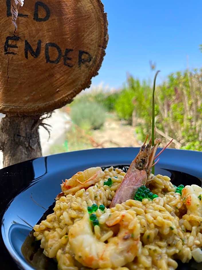 Eco Beach And Magic Garden Hotel