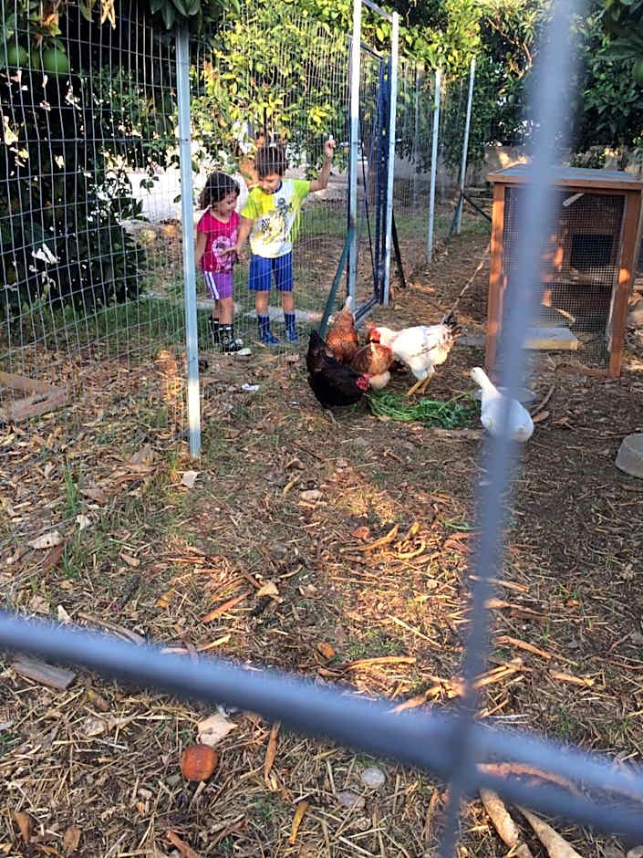 All'ombra del Carrubo - Metaponto