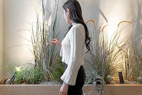 Siheung Brown Dot Jeongwang