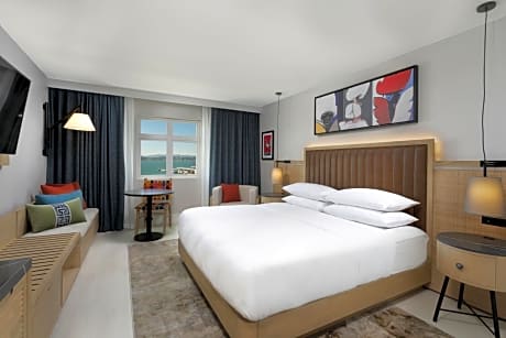 room, 1 king bed, bay view