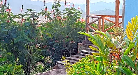 Bwindi Neckview Lodge