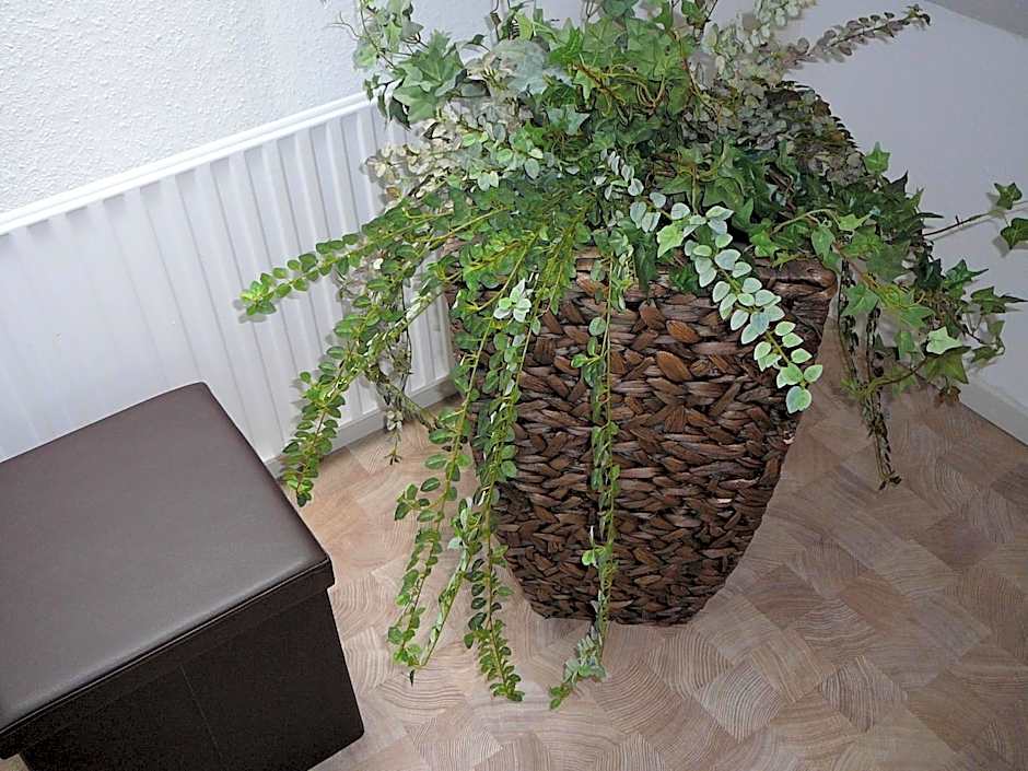 Haus Drei Tannen