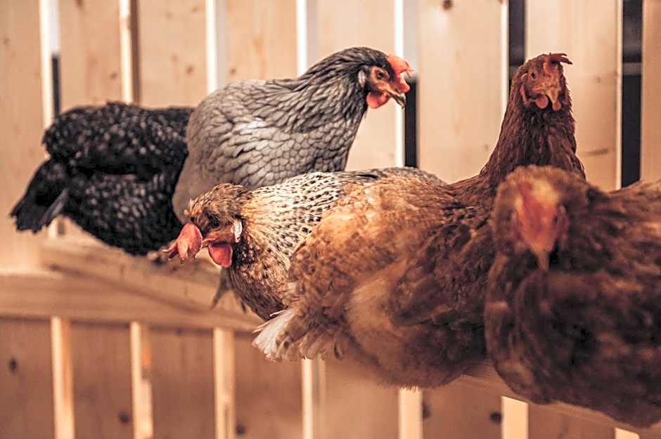 Erlebnisgut & Reiterhof Oberhabach