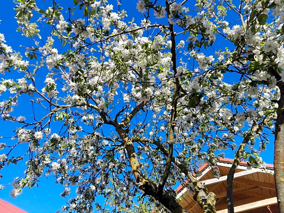 Agroturystyka Cold Sea