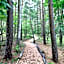 Yutorelo Tateshina Hotel with DOGS