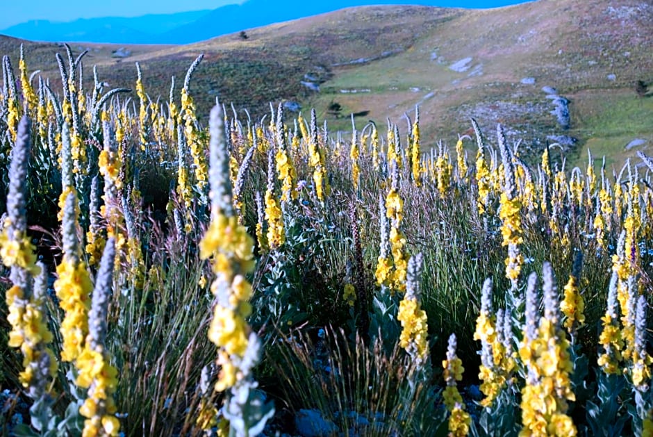 La Bifora e Le Lune Vico sotto gli archi 5