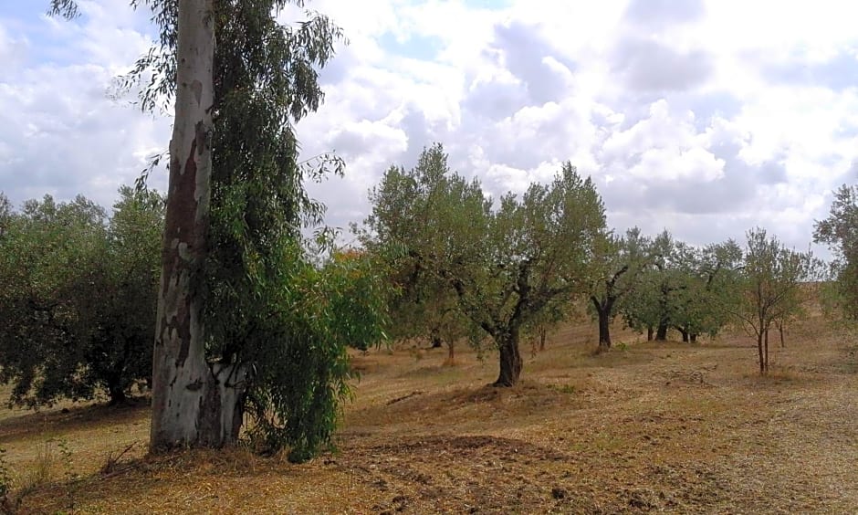 Poderi di Tragliatella