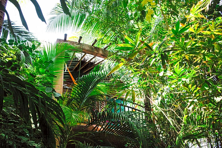 Cocos Cabañas Playa del Carmen Adults Only