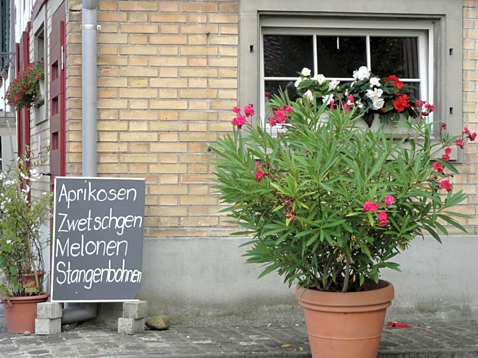 Bed and Breakfast Wegmann