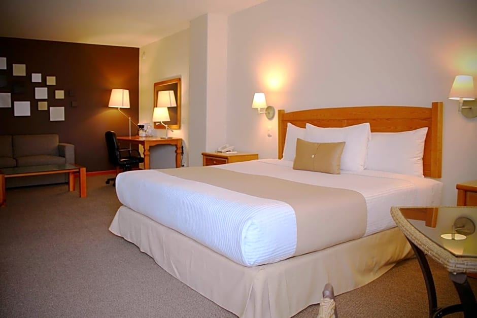 Best Western Plus Plaza Vizcaya