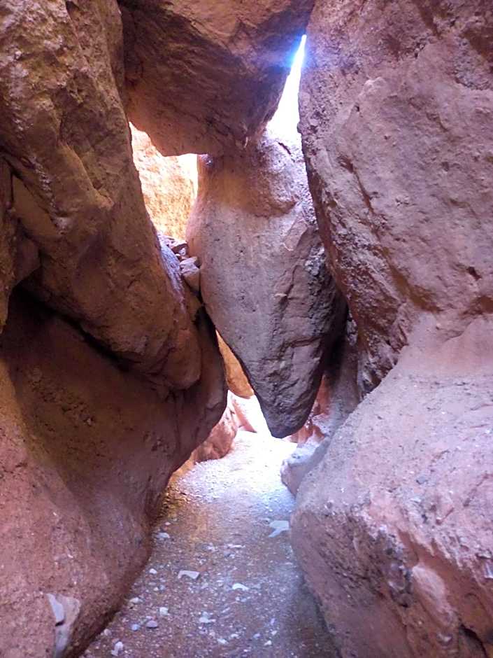 ECOLODGE MISS ROSE CHEZ LA FAMILLE