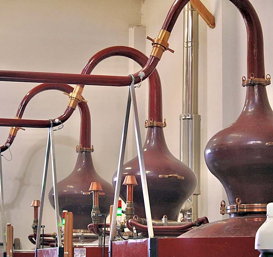 Suite en Terrasse à Cognac