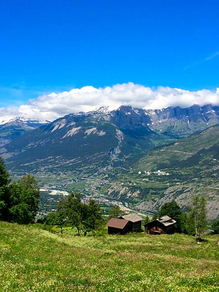 Hotel Restaurant Emshorn