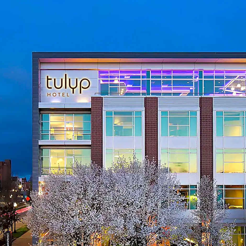 Tulyp, Tapestry Collection by Hilton