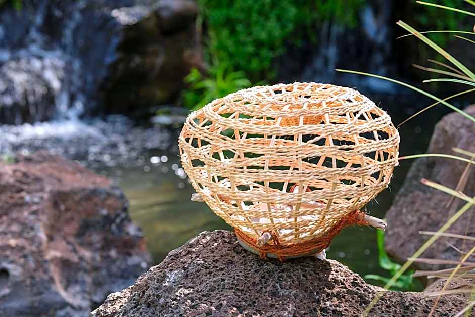 The Westin Nanea Ocean Villas, Ka'anapali