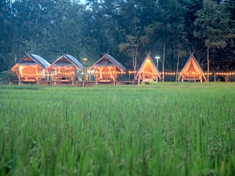 Paddy Fields Haven - Natures Nest