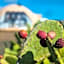 Eslanzarote Luxurious Eco Dome Experience