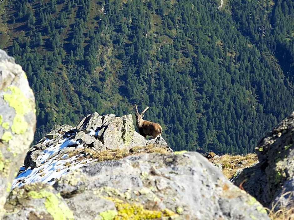 Aktivhostel HängeMatt