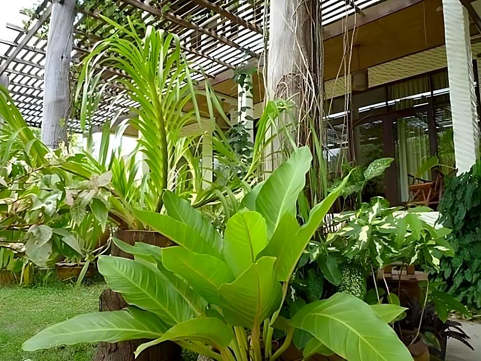 The Mangrove Hideaway Koh Chang