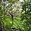 Aux Arbres Chanteurs