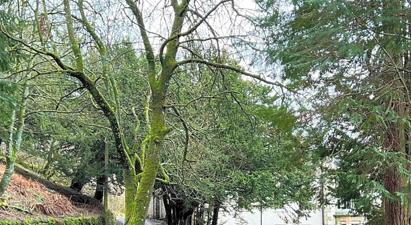 Lovelady Shield Hotel