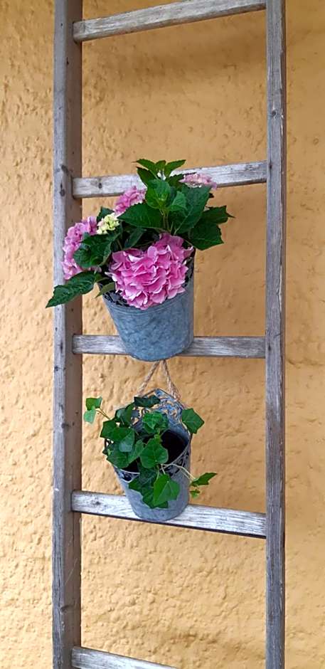 Björkängs Vandrarhem