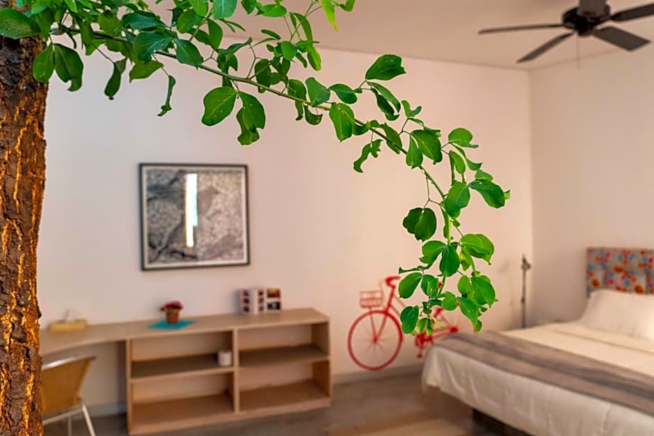 Hotel Cosijo - San Jeronimo Tlacochahuaya