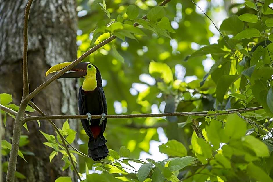 Hotel Cuna del Angel