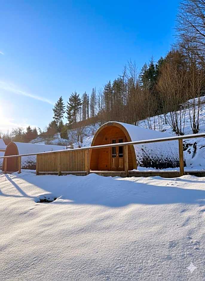 Frankenwald Chalets - Chalets