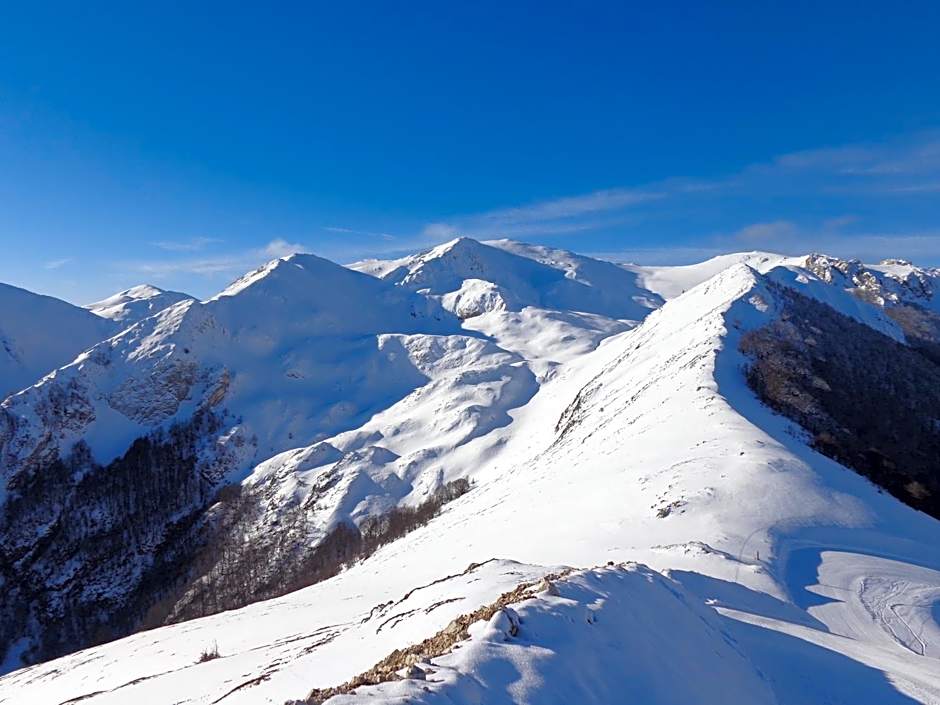 Hotel Garnì Mille Pini