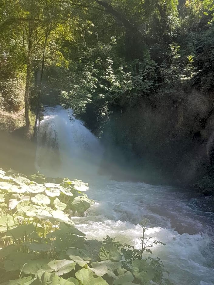 Residence Via Benamati