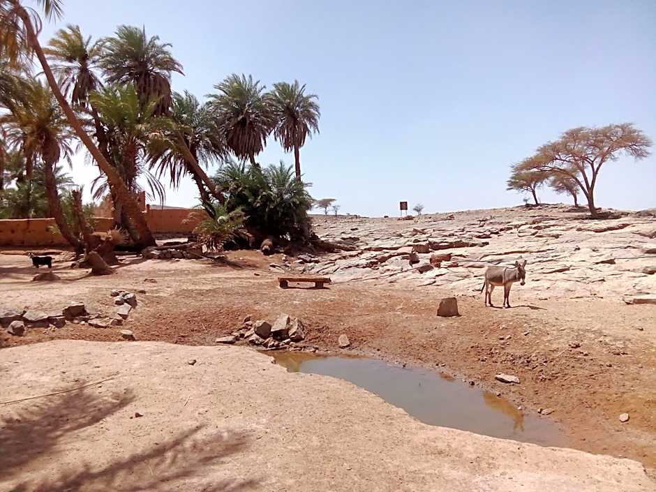 Bivouac beauté du désert