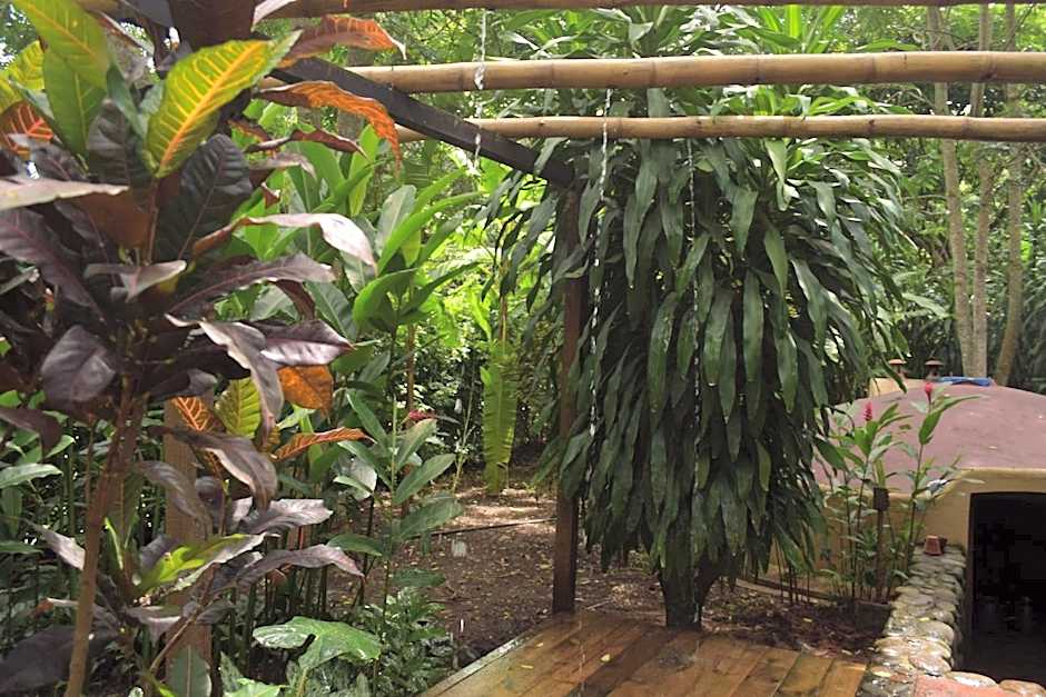 Picocanoa Rodavento