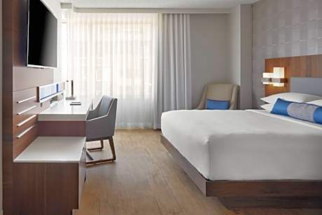 1 Queen Bed, Guest Room