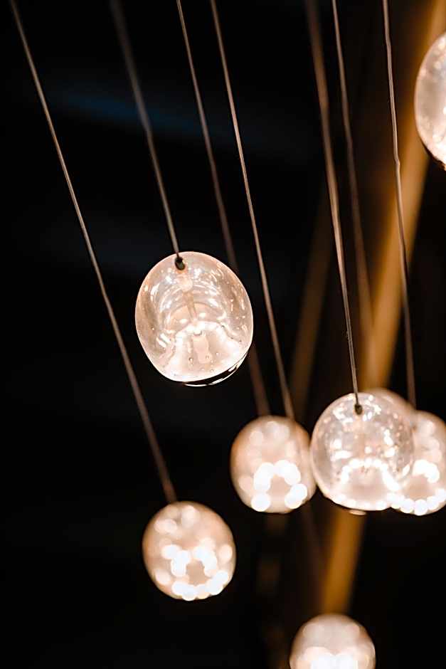 Prince Albert Lyon Bercy