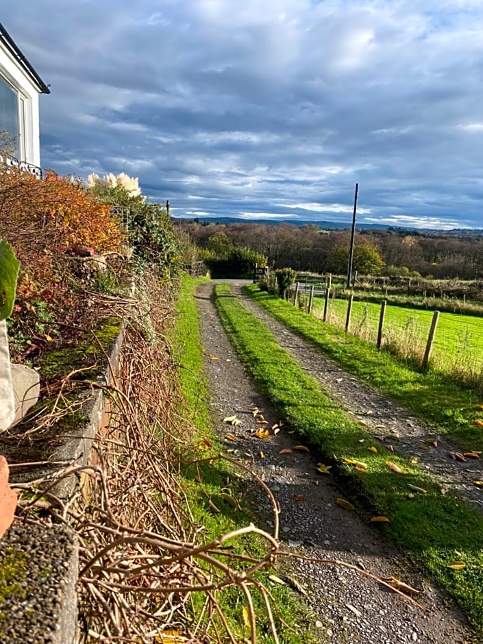 Jacquie's B&B -Dumfries-Room with a view