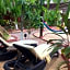 Cocos Cabañas Playa del Carmen Adults Only