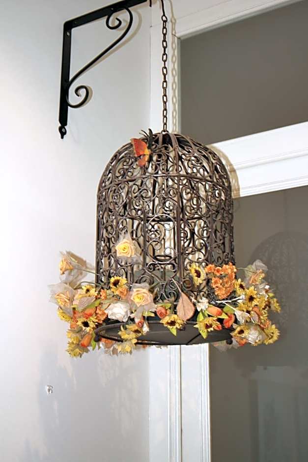 City's House Guest House